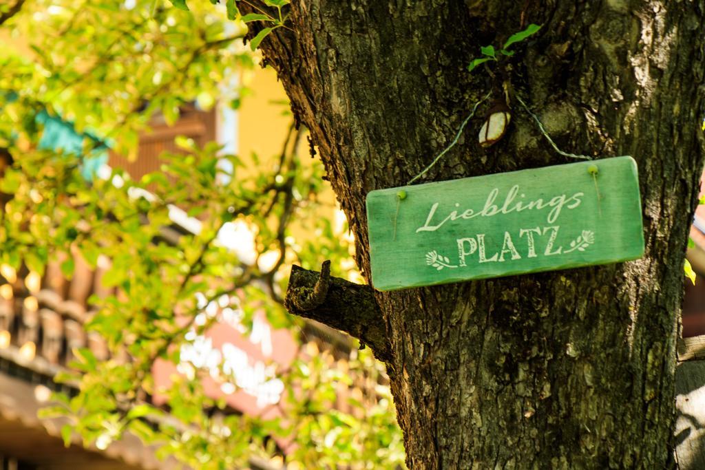 Pension Alte Muehle Гмюнд Экстерьер фото