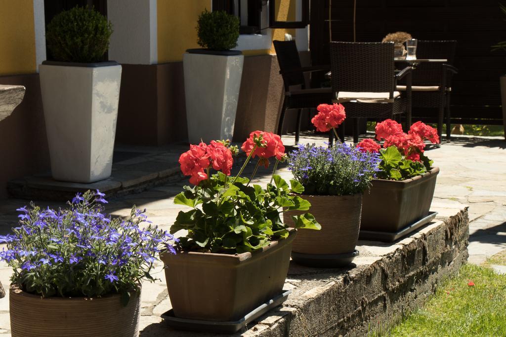 Pension Alte Muehle Гмюнд Экстерьер фото